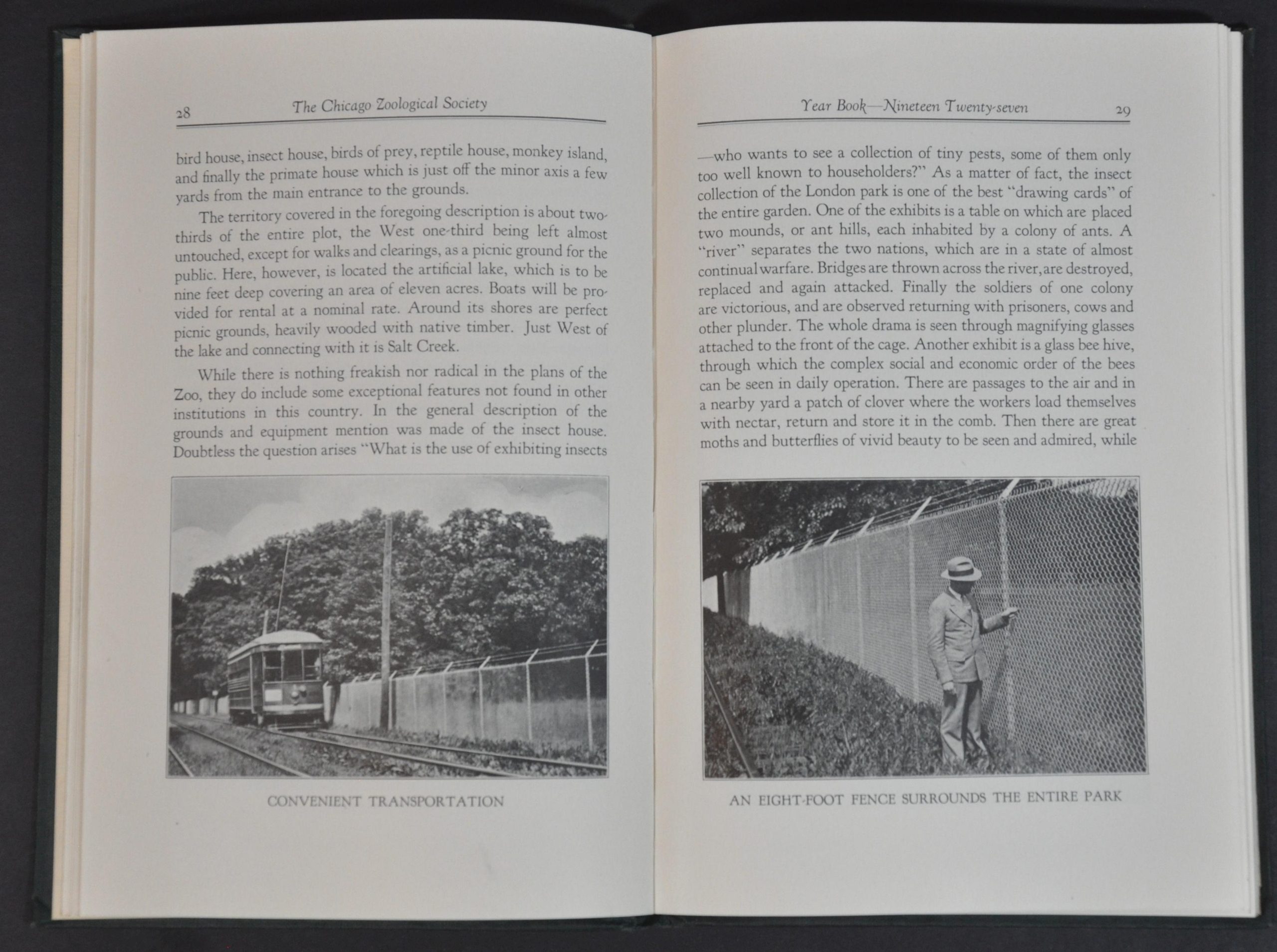 The Chicago Zoological Society Year Book 1927 - Image 3