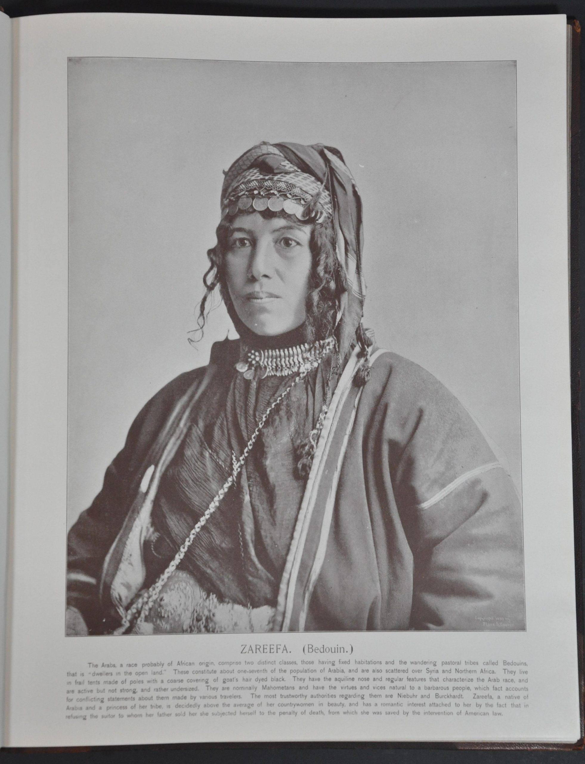 Oriental and Occidental Northern and Southern Portrait Types of the Midway Plaisance - Image 11