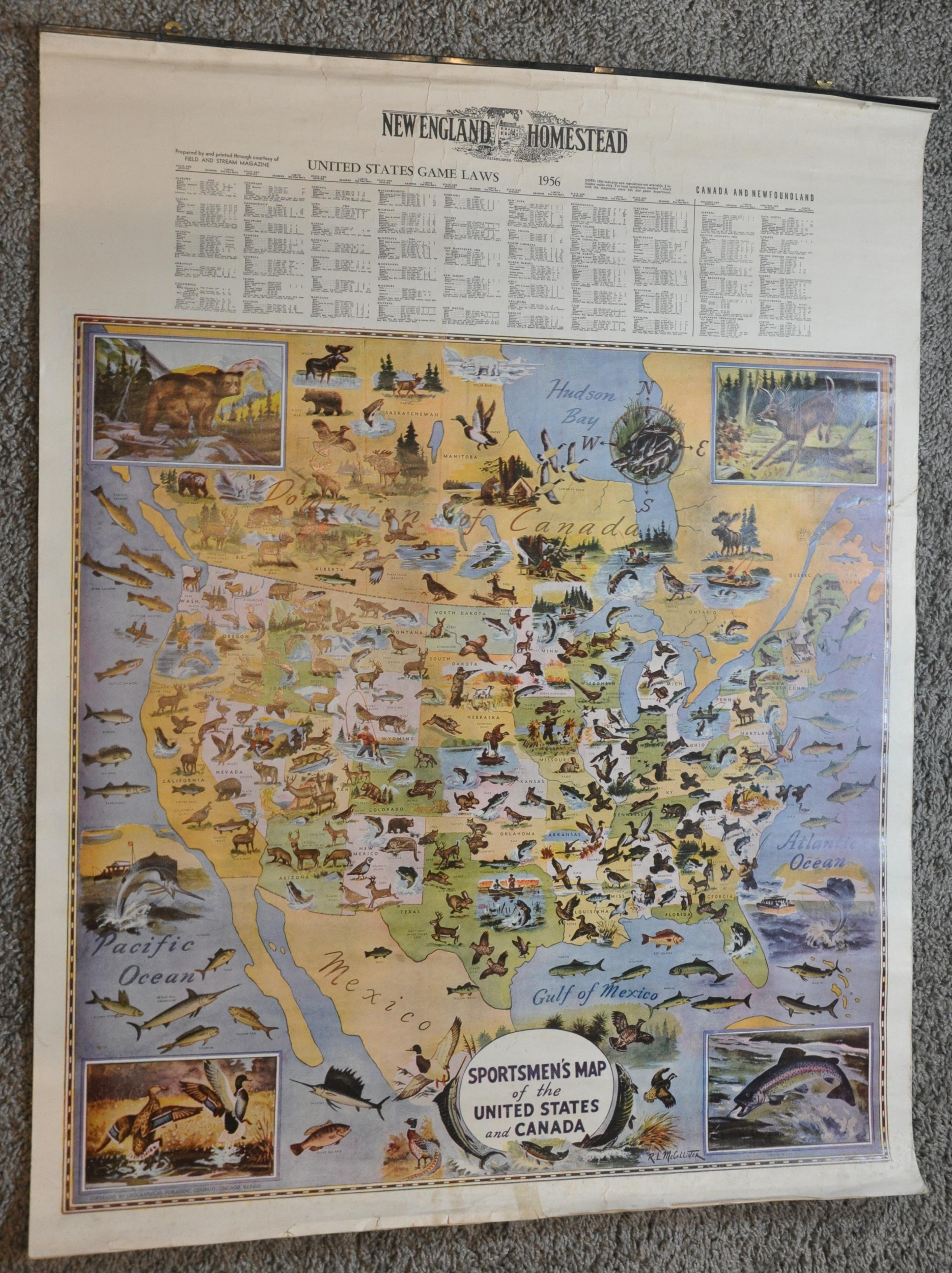 Sportsmen's Map of the United States and Canada - Image 5