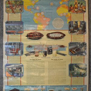 Chocolate and Cocoa Nourishing Foods