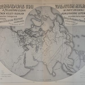 Recension Critica Automatica Of the Doctrine of Bird-Migration
