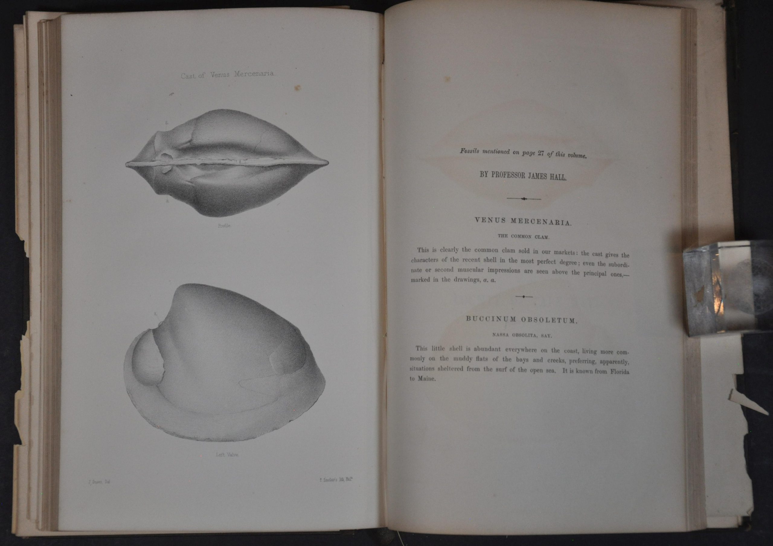 Map of the County of Cape May State of New Jersey - Image 5