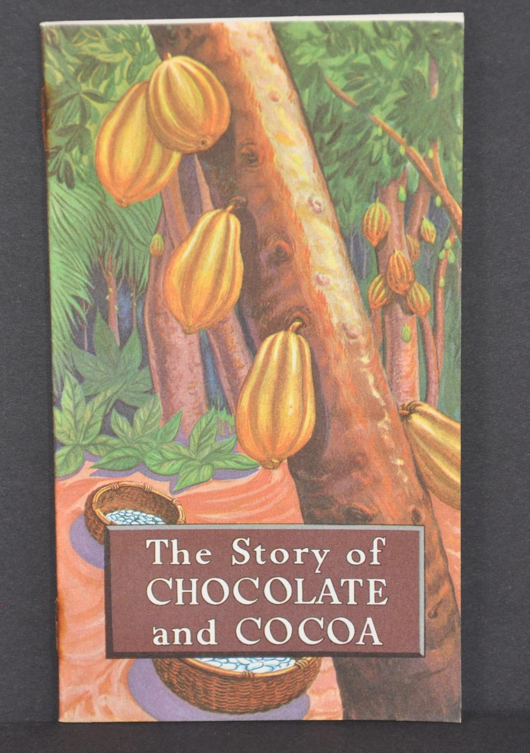 Chocolate and Cocoa Nourishing Foods - Image 2