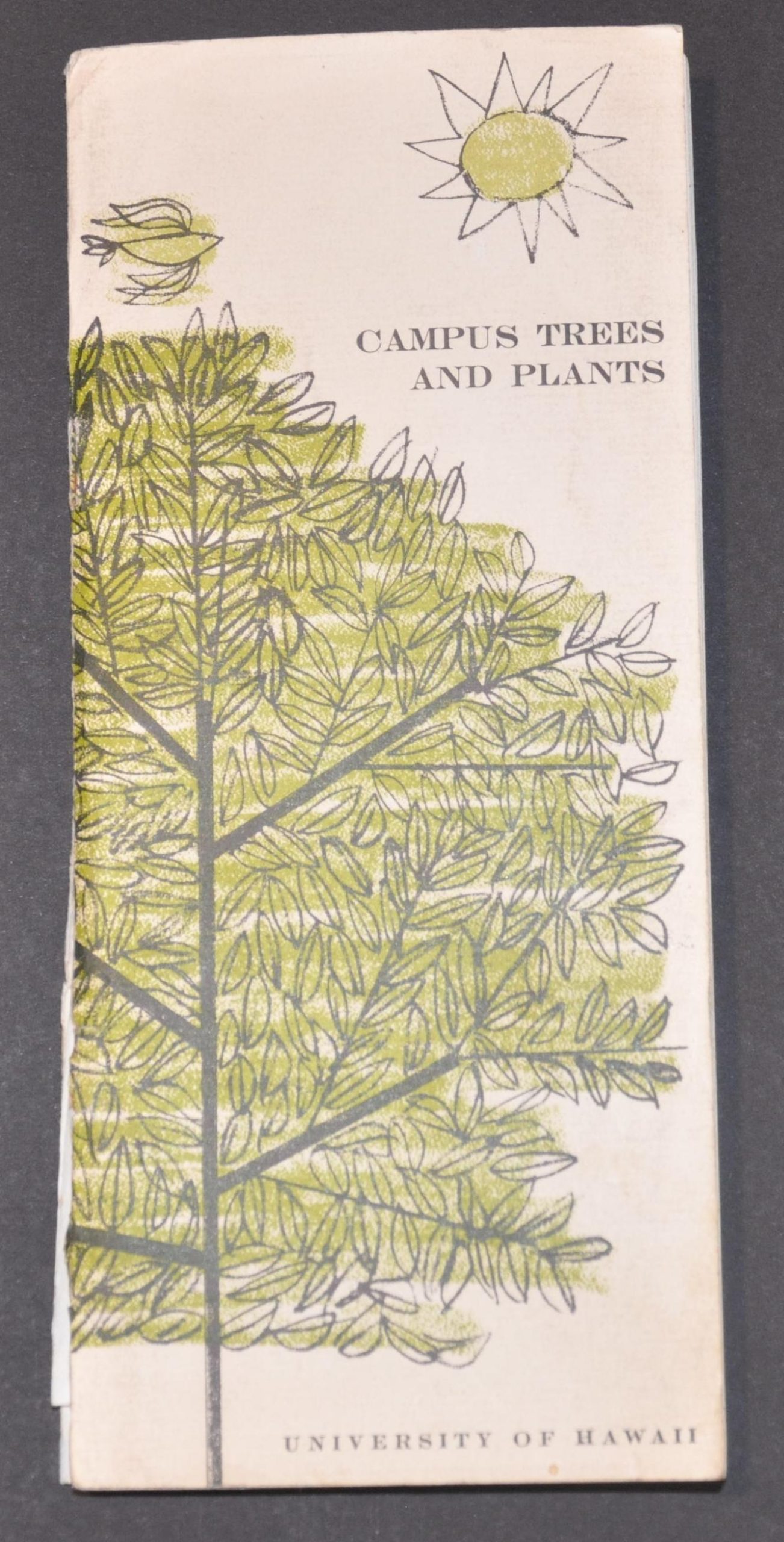 University of Hawaii Campus Map of Cultivated Plants - Image 2