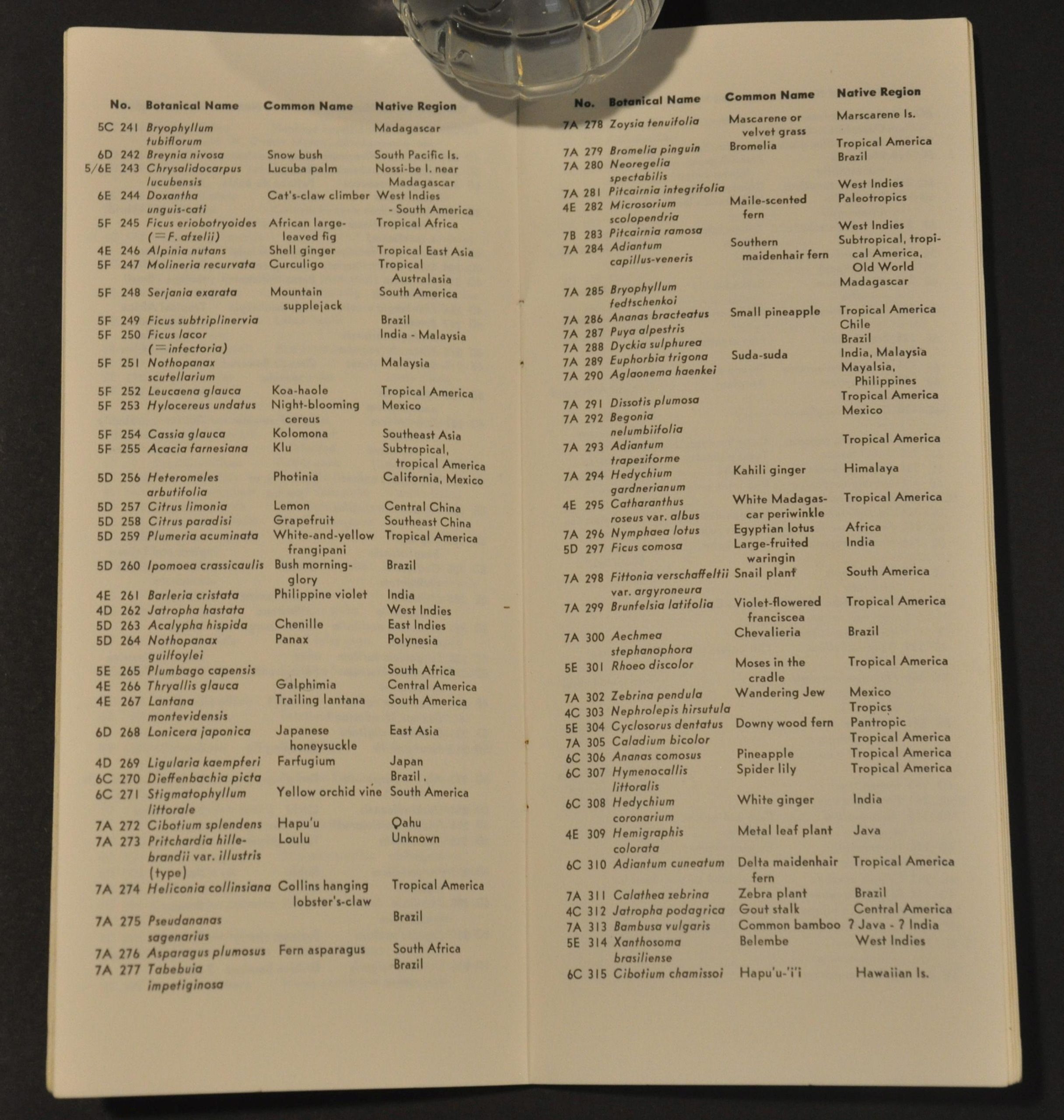University of Hawaii Campus Map of Cultivated Plants - Image 4