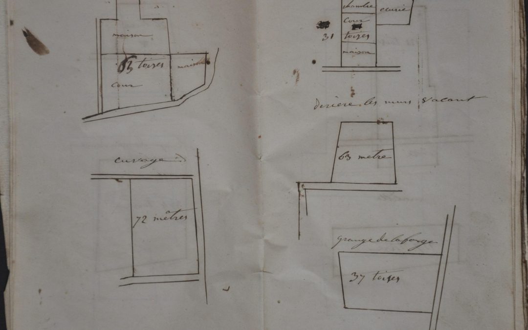 Countenance et Plane de Toules nos Terres en 1868 [French Manuscript Plat Maps]