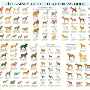 The Gaines Guide to America's Dogs