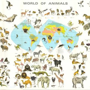 World of Animals