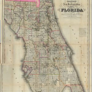 Colton's New Sectional Map of the Eastern Portion of Florida