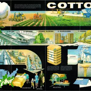 Cotton