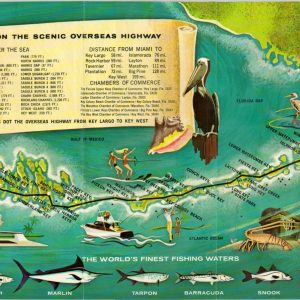 Cruise by Car on the Scenic Overseas Highway