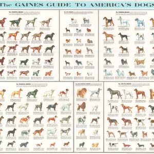 The Gaines Guide to America's Dogs