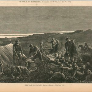 Sheep Raid in Colorado