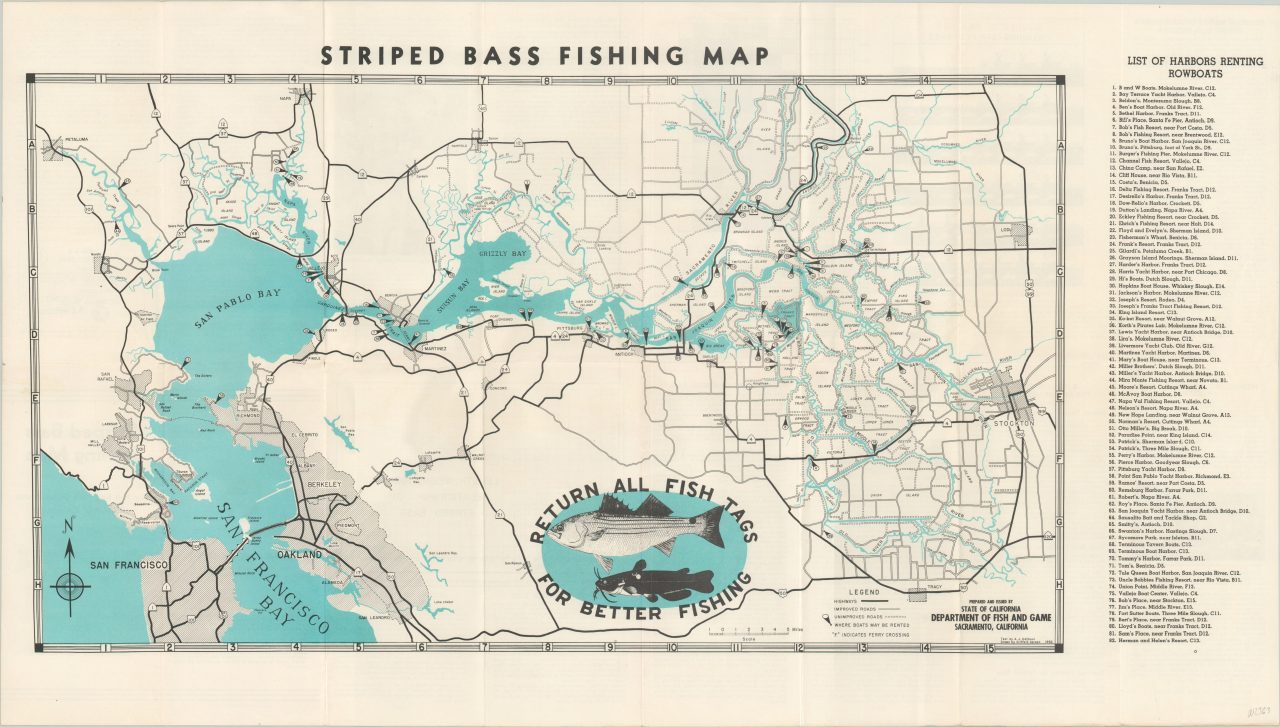 Striped Bass Fishing Map Curtis Wright Maps