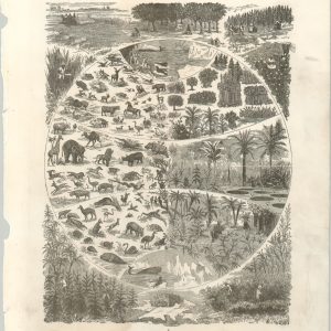 [Flora and Fauna of the World]