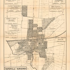 Webster's Map of Naperville and Environs DuPage County Illinois