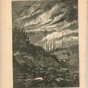 The Forest Fires in the West