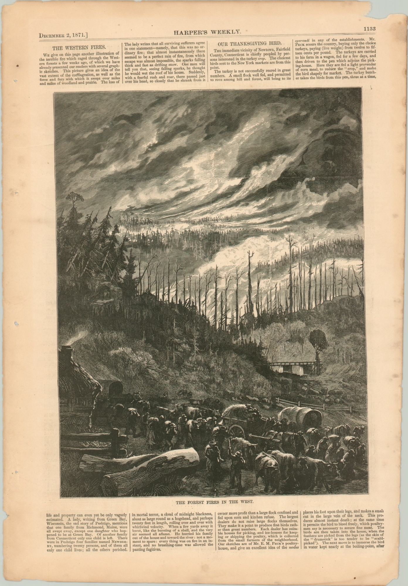 The Forest Fires in the West