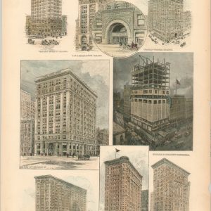 The Chicago Sky-Scrapers Again. Specimens of the Crop of 1893.
