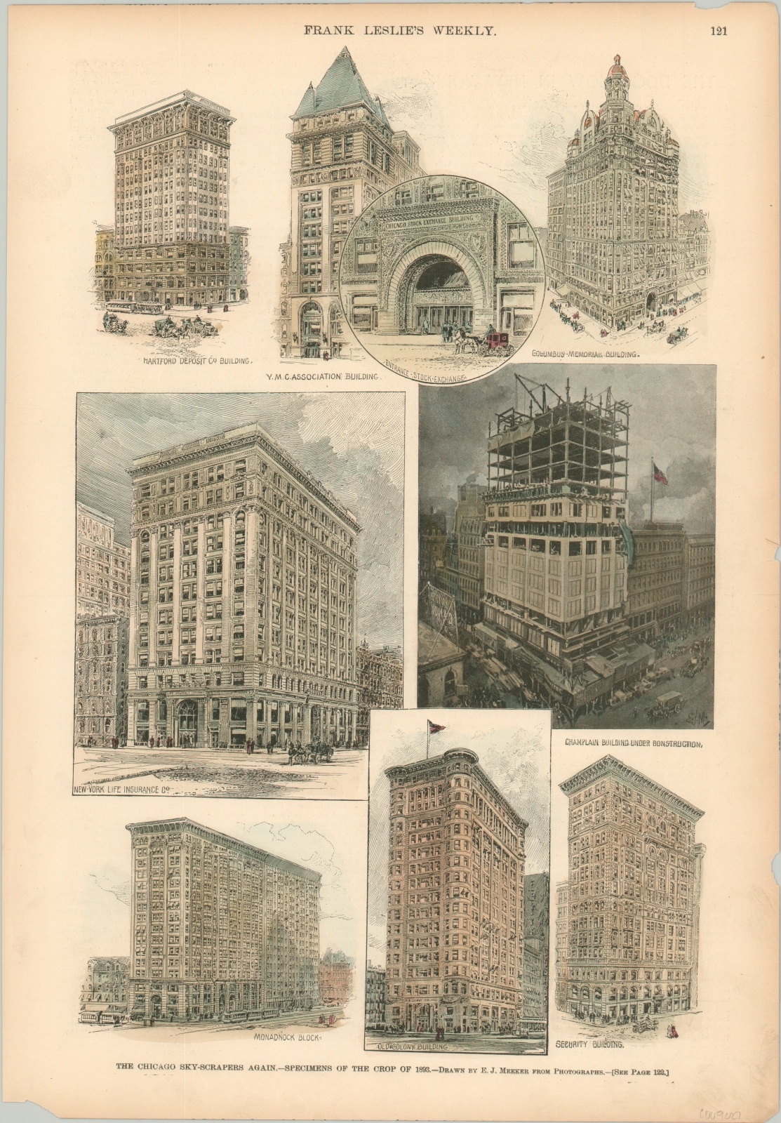 The Chicago Sky-Scrapers Again. Specimens of the Crop of 1893.