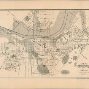 [Maps of the Cholera Epidemic of 1873]