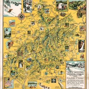 White Mountain National Forest