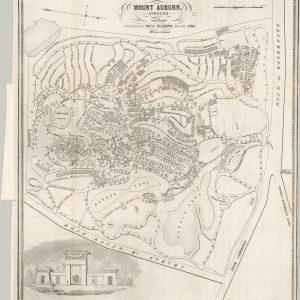 Mount Auburn, Avenues and Paths