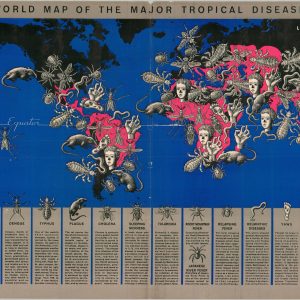 World Map of the Major Tropical Diseases
