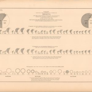 Chart Showing the Aggregate Number of Idiots and the Proportion of Males and Females, White or Colored, Native or Foreign...