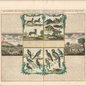 Description des Quadrupedes, Oiseaux, & Reptiles les Plus Curieux Qui se Trouvent dans la Guinee Dessines sur les Lieux d'Apres, le Naturel