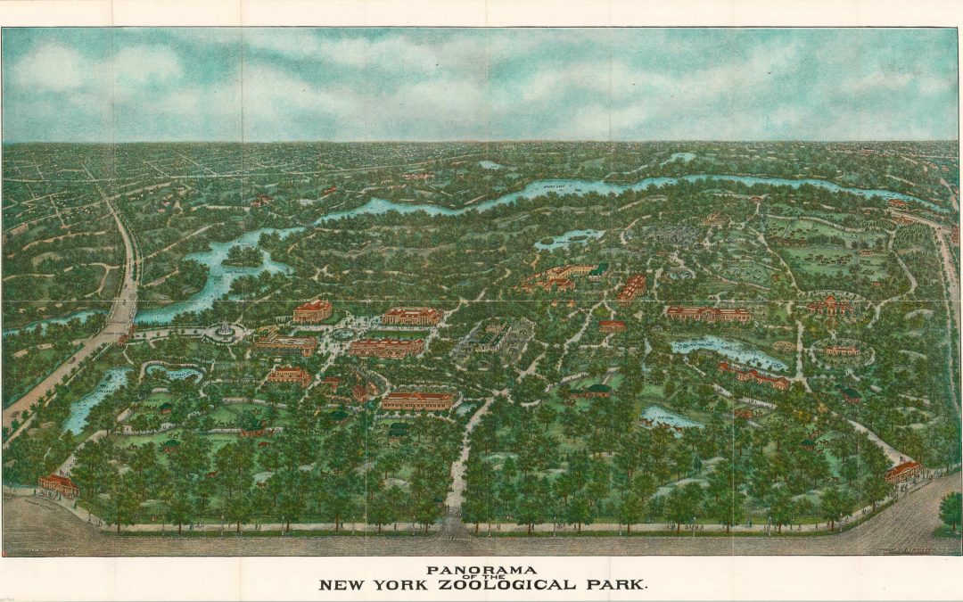 Panorama of the New York Zoological Park