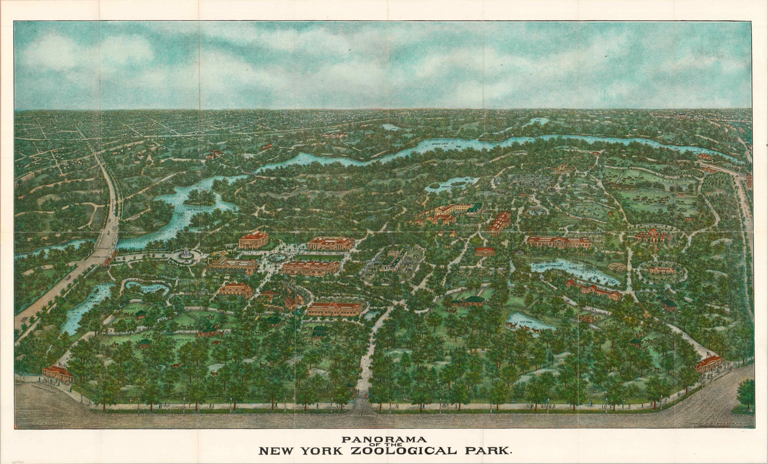 Panorama of the New York Zoological Park