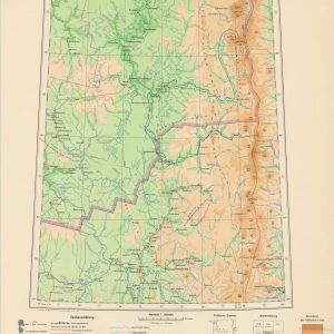 Tscherdyn P-40 [Soviet Union]