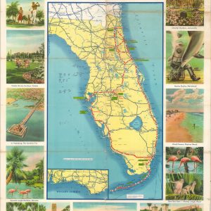 While You Are in Florida See These Outstanding Attractions