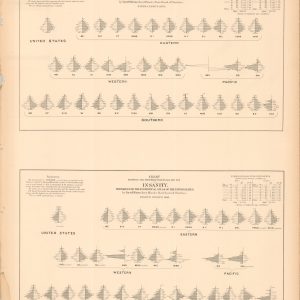 Chart Showing the Distribution by Age and Sex of Insanity