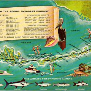 Cruise by Car on the Scenic Overseas Highway