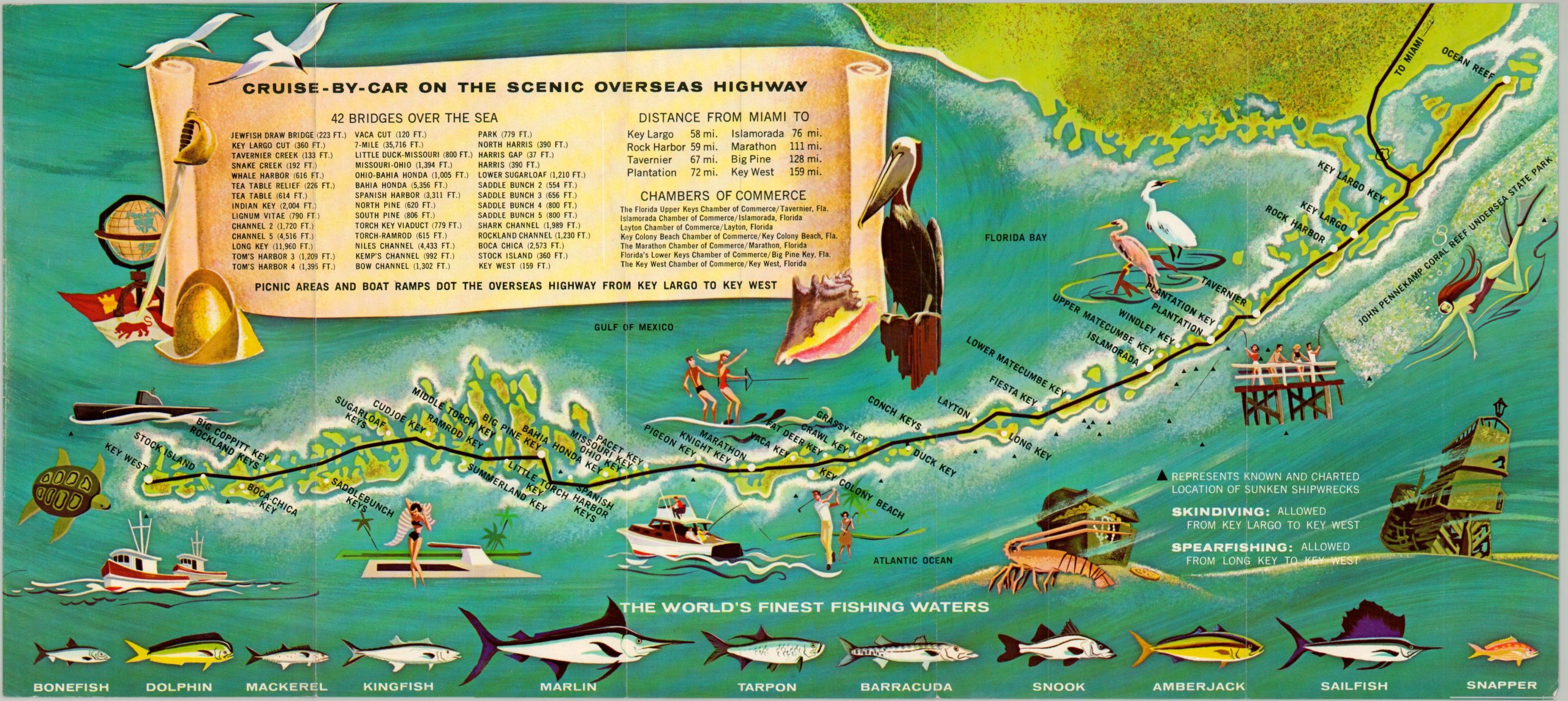Cruise by Car on the Scenic Overseas Highway
