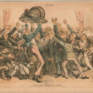 Uncle Sam's Thanksgiving Turkey