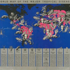 World Map of Major Tropical Diseases
