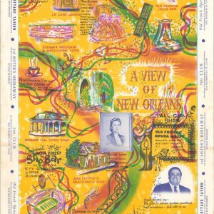 A View of New Orleans