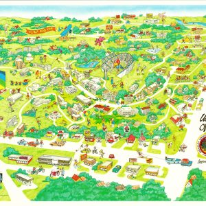 University of Kansas