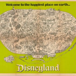 Welcome to the happiest place on earth…Disneyland