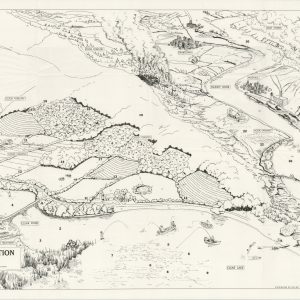 Conservation Chart