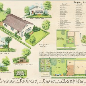 Vigoro Beauty Plans