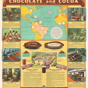 Chocolate and Cocoa Nourishing Foods