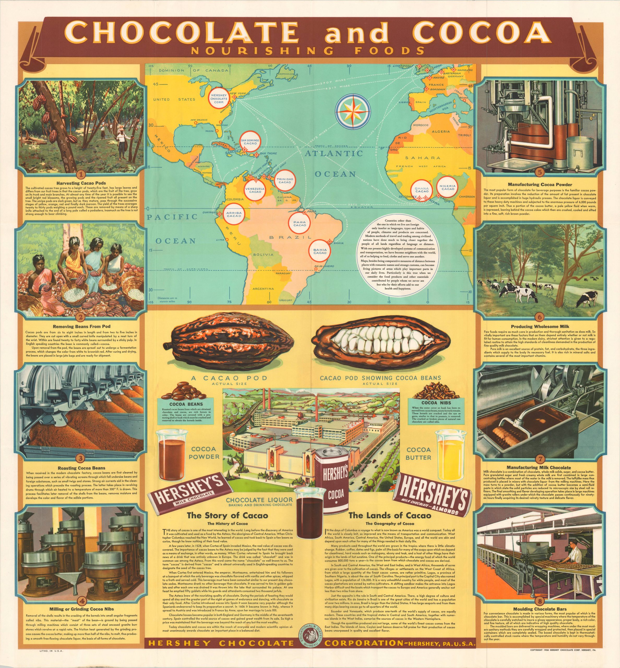Chocolate and Cocoa Nourishing Foods