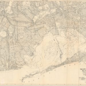 The City of New York (The Five Boroughs)