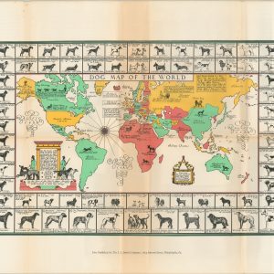 Dog Map of the World
