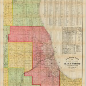 Rand McNally & Co.'s New Sectional Railroad Map of Cook, Lake and Du Page Counties