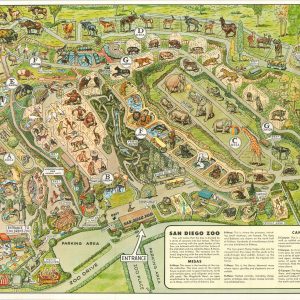 Recreational Map San Diego Zoo [Title on Verso]